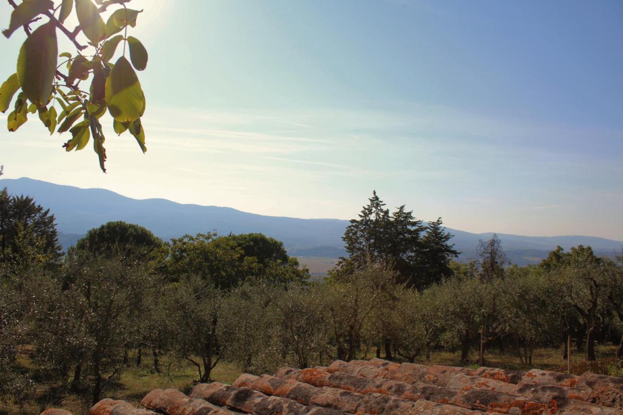 Il Nuvoloso Città della Pieve エクステリア 写真
